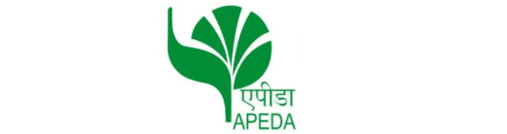 apeda pacindilantic global